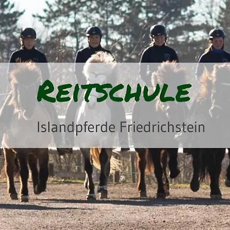 Appartement Rueckzugsort Am Stadtrand Mit Kunst *